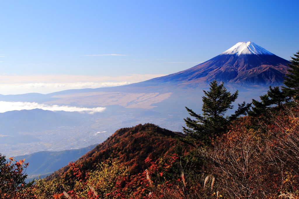 紅葉と富士山