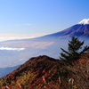 紅葉と富士山