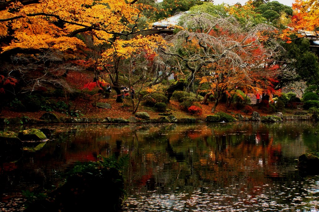 成田山公園の紅葉