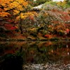 成田山公園の紅葉