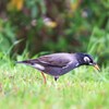食べちゃうぞ～