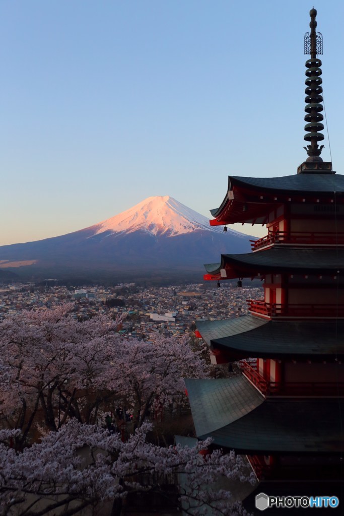 紅富士を見つめる