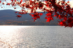 山中湖紅葉