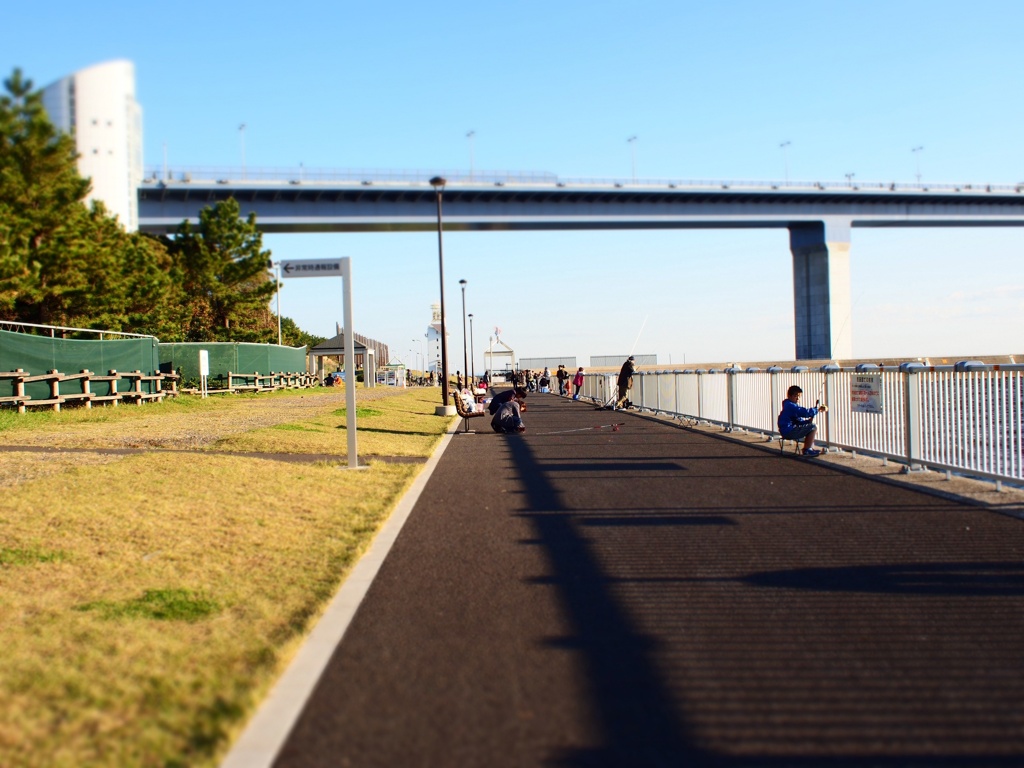 M.ZUIKO 17mm f2.8