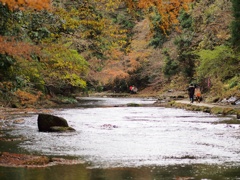 岩と樹と川