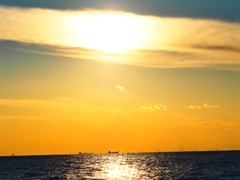 夕焼
