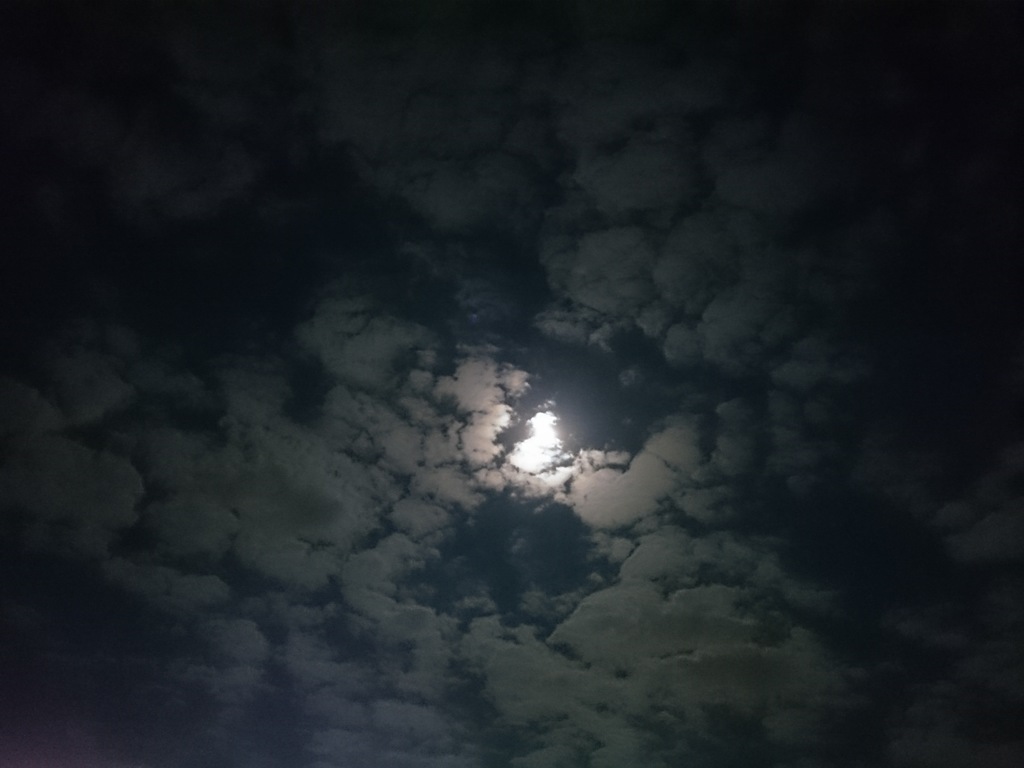 夜空のコッチ