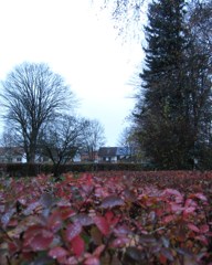 IMG_3362