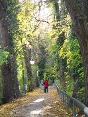 散歩道