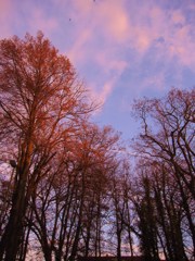 IMG_3618