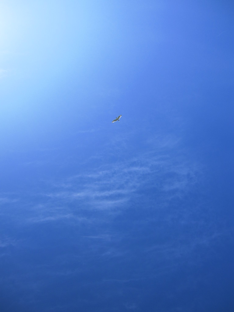 あの空へ