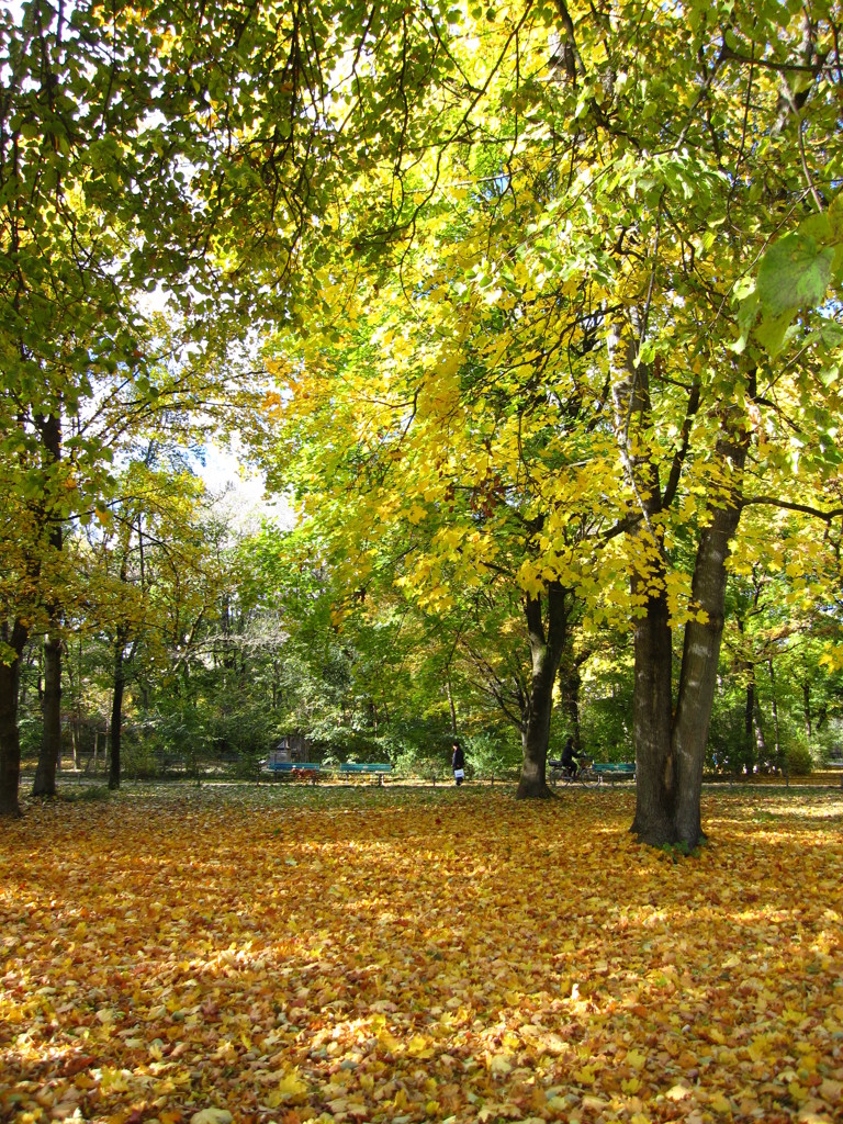 Autumn Paradise !