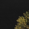 IMG_3311