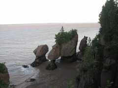 Hopewell Rocks in the evening