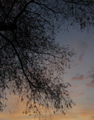 IMG_3682