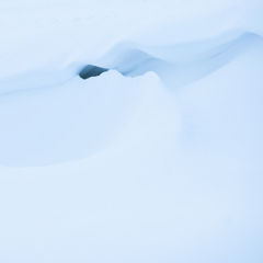 雪原2