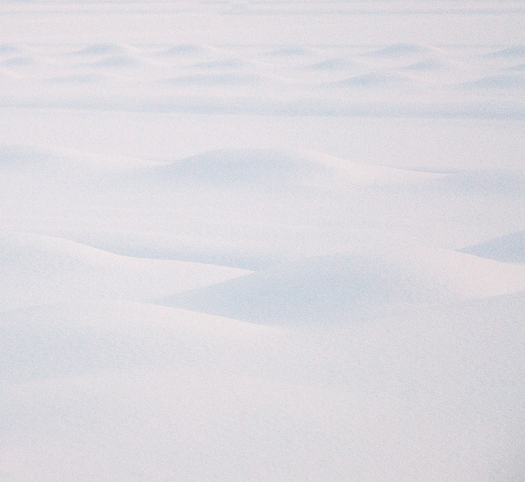 雪原