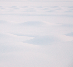 雪原