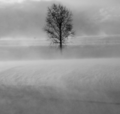 吹雪