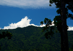 夏山