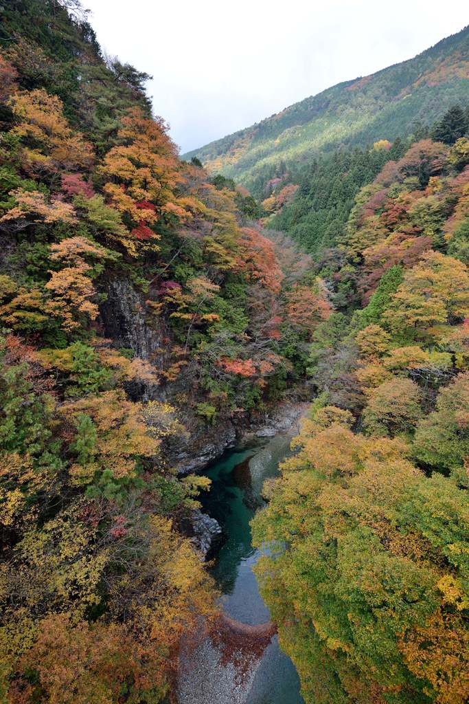 付知峡の紅葉２