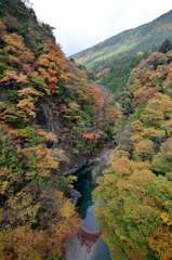 付知峡の紅葉２