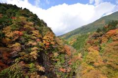 付知峡の紅葉３