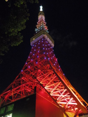 Tokyo Tower 2