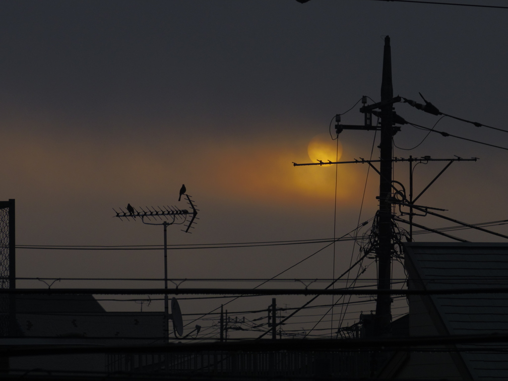 幻想的な朝日