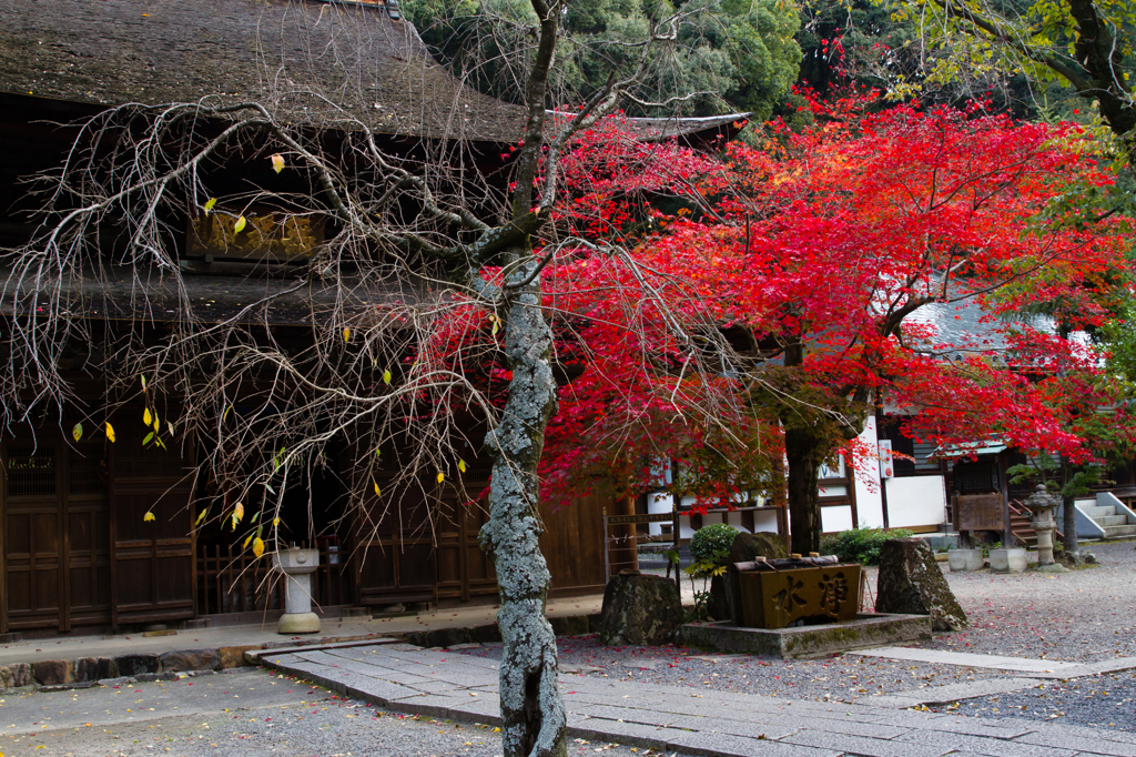 定光寺