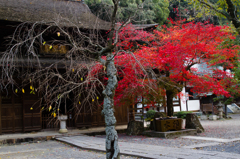 定光寺