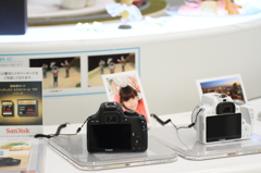 DPP_0002026