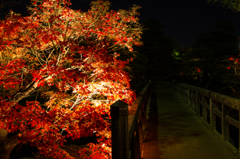 白鳥庭園