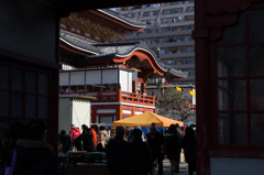 IMG_4547