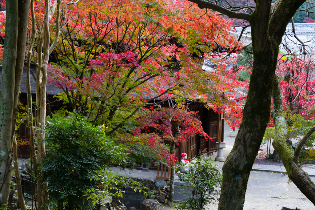 定光寺