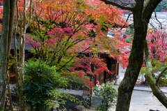 定光寺