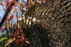 DPP_000147