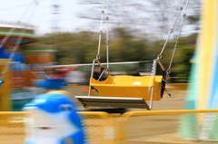 IMG_8446