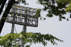 DPP_000135