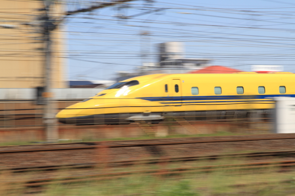 DPP_0008