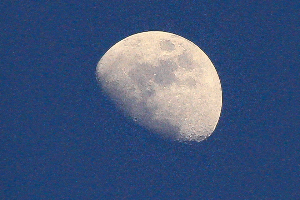 IMG_5856