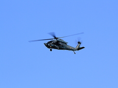 DPP_0002116