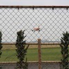 IMG_44091