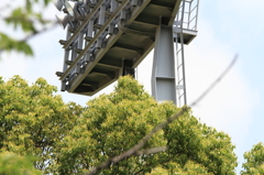 DPP_000145