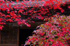 定光寺