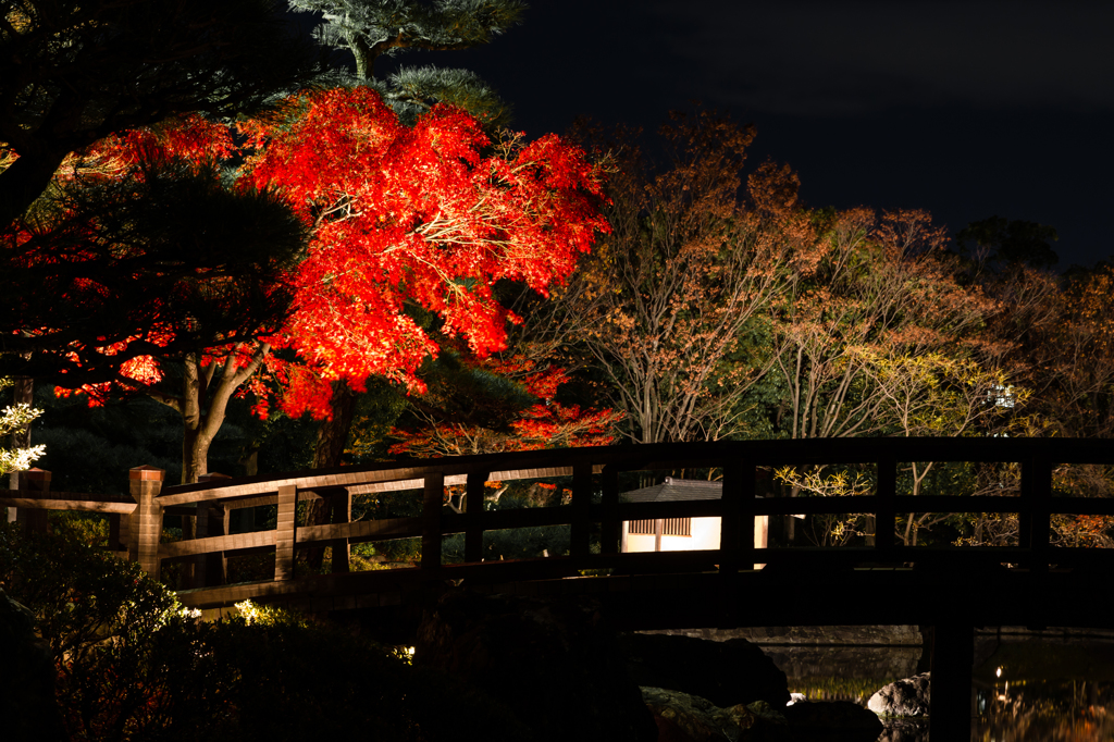 白鳥庭園