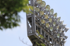 DPP_000139