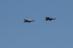 Phantoms