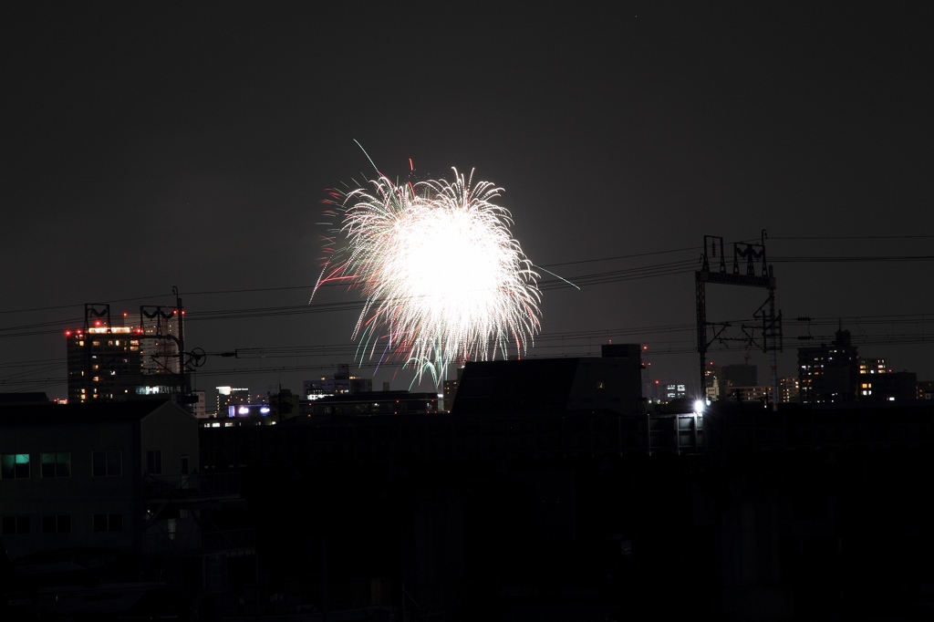 IMG_45241
