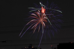 IMG_45101